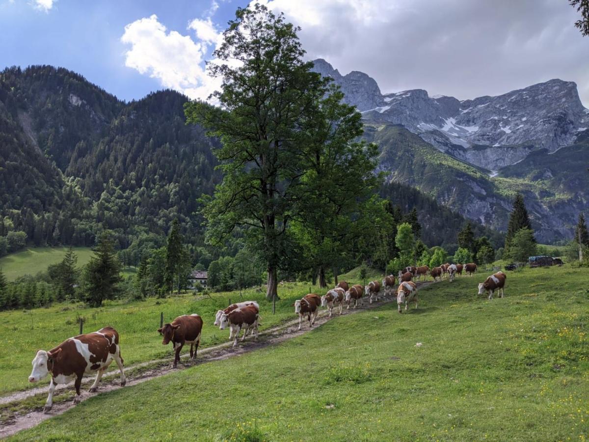ホテル Bio Bauernhof Vorderoberlehen ヴェルフェンヴェンク エクステリア 写真
