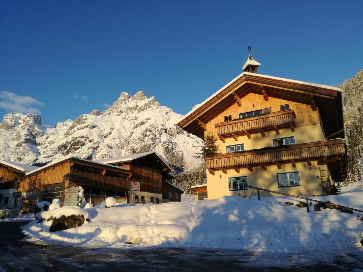 ホテル Bio Bauernhof Vorderoberlehen ヴェルフェンヴェンク エクステリア 写真