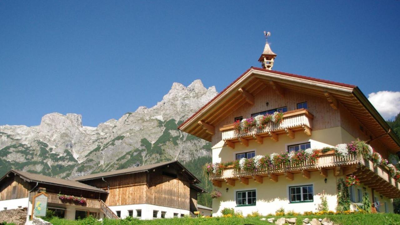 ホテル Bio Bauernhof Vorderoberlehen ヴェルフェンヴェンク エクステリア 写真