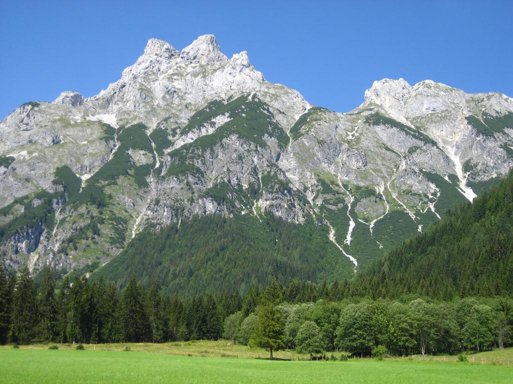 ホテル Bio Bauernhof Vorderoberlehen ヴェルフェンヴェンク エクステリア 写真
