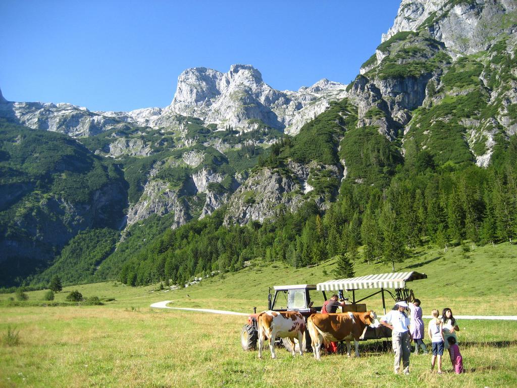 ホテル Bio Bauernhof Vorderoberlehen ヴェルフェンヴェンク エクステリア 写真