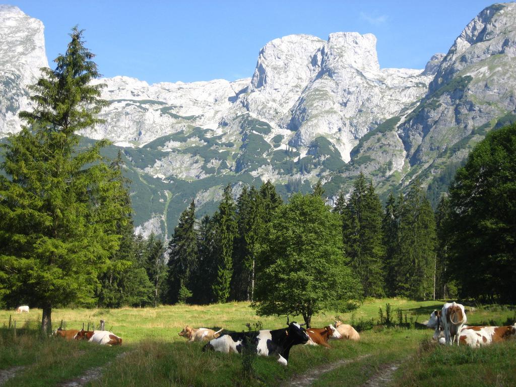ホテル Bio Bauernhof Vorderoberlehen ヴェルフェンヴェンク エクステリア 写真