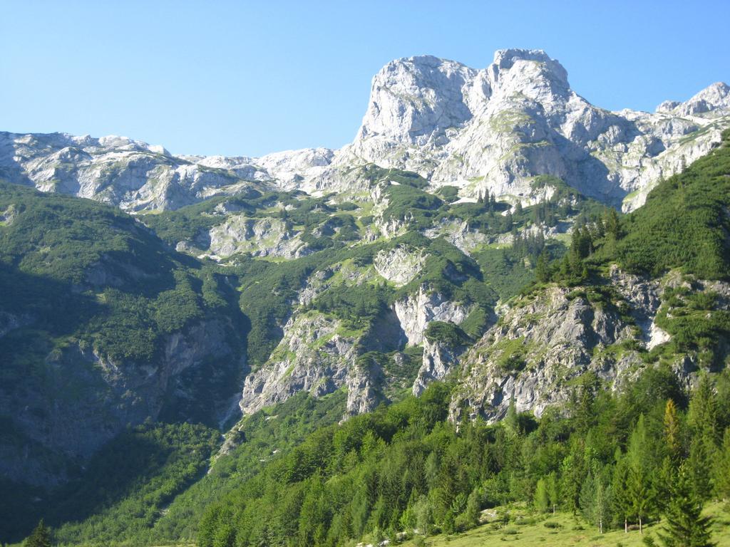 ホテル Bio Bauernhof Vorderoberlehen ヴェルフェンヴェンク エクステリア 写真