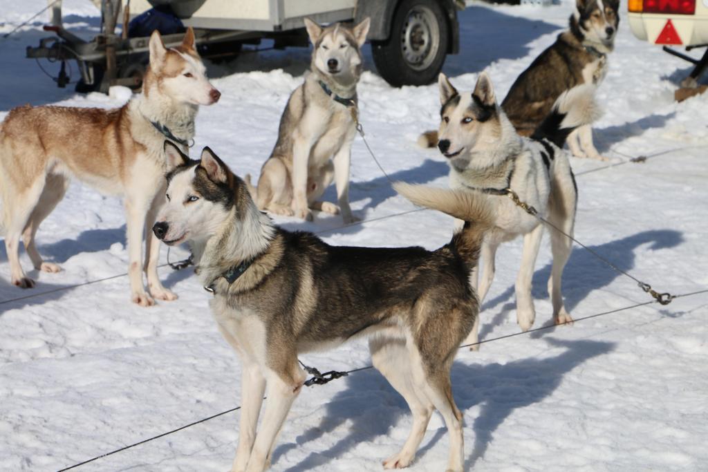 ホテル Bio Bauernhof Vorderoberlehen ヴェルフェンヴェンク エクステリア 写真