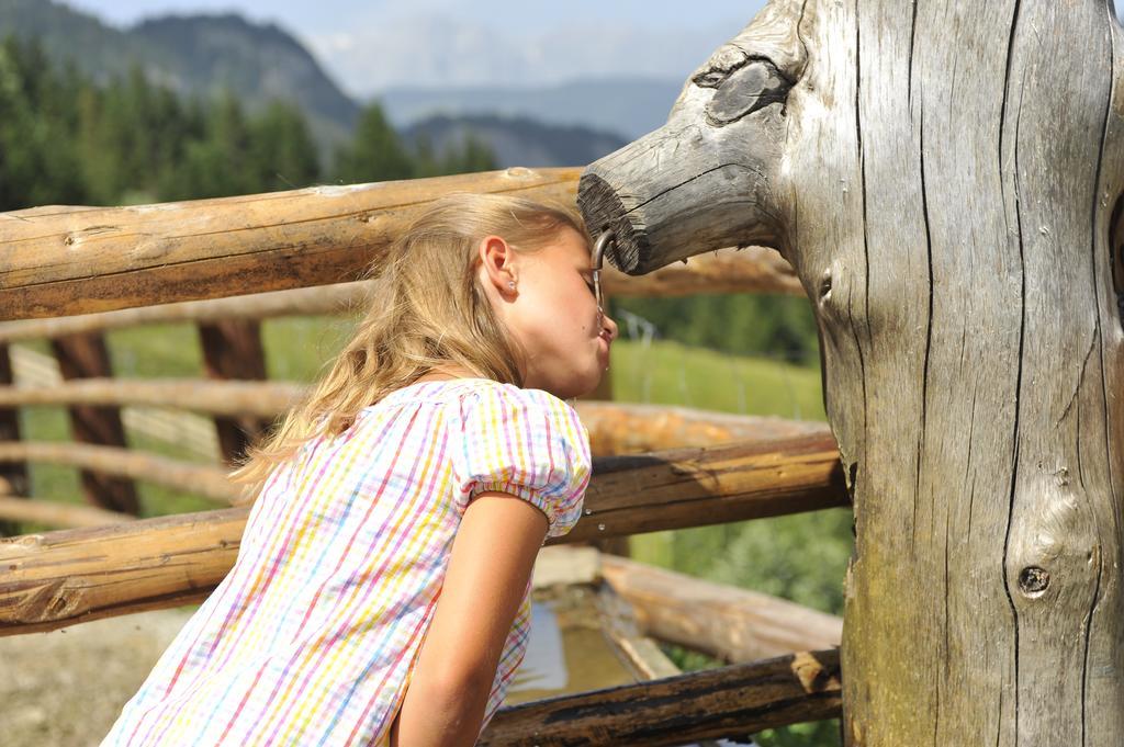 ホテル Bio Bauernhof Vorderoberlehen ヴェルフェンヴェンク エクステリア 写真