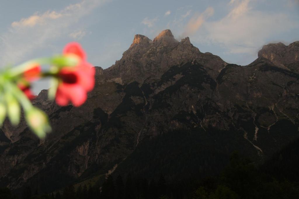 ホテル Bio Bauernhof Vorderoberlehen ヴェルフェンヴェンク エクステリア 写真
