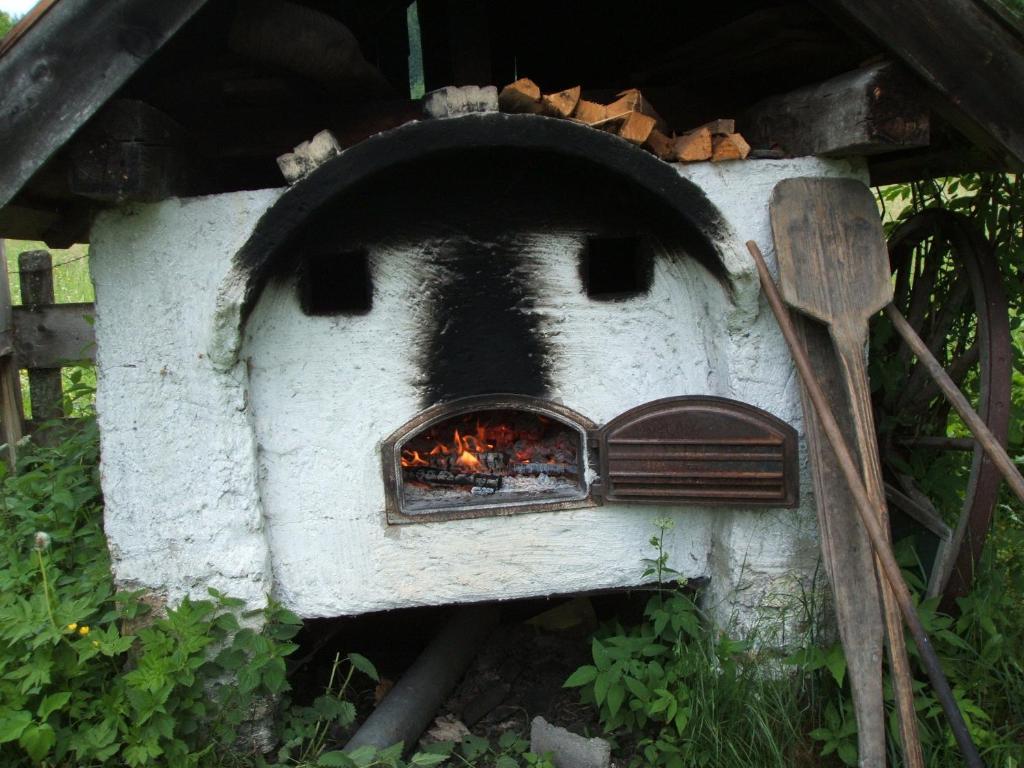 ホテル Bio Bauernhof Vorderoberlehen ヴェルフェンヴェンク エクステリア 写真
