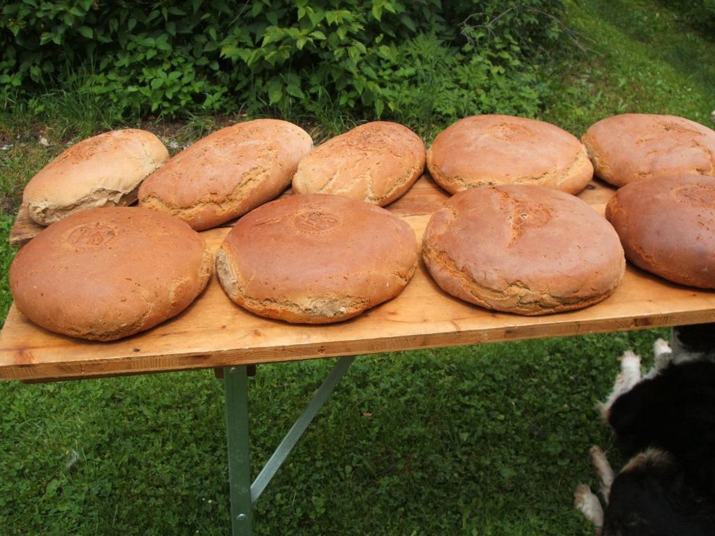 ホテル Bio Bauernhof Vorderoberlehen ヴェルフェンヴェンク エクステリア 写真
